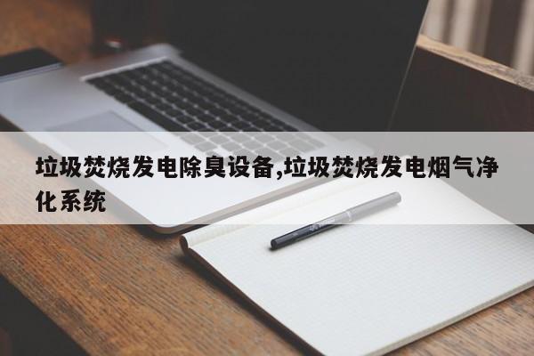 垃圾焚烧发电除臭设备,垃圾焚烧发电烟气净化系统
