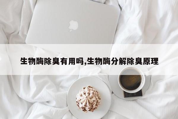 生物酶除臭有用吗,生物酶分解除臭原理