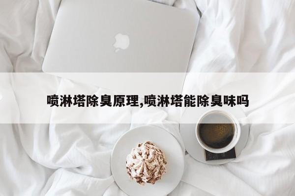 喷淋塔除臭原理,喷淋塔能除臭味吗