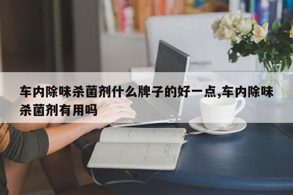 车内除味杀菌剂什么牌子的好一点,车内除味杀菌剂有用吗