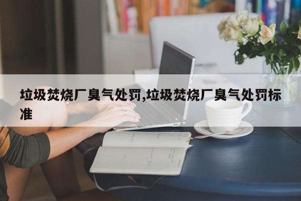 垃圾焚烧厂臭气处罚,垃圾焚烧厂臭气处罚标准