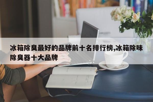冰箱除臭最好的品牌前十名排行榜,冰箱除味除臭器十大品牌