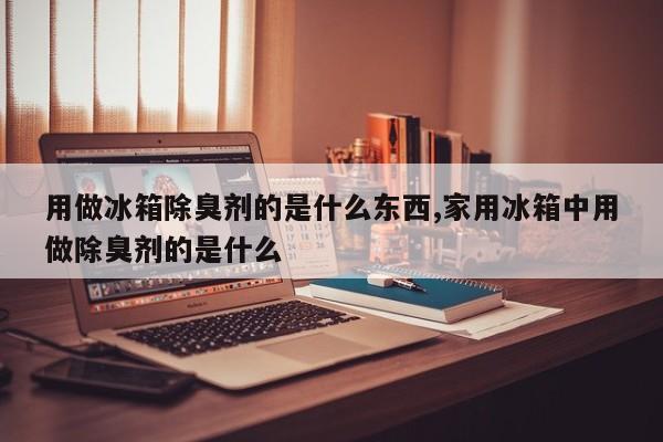 用做冰箱除臭剂的是什么东西,家用冰箱中用做除臭剂的是什么
