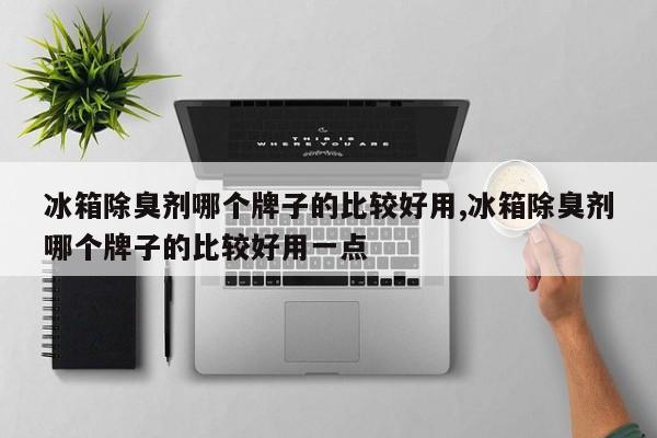 冰箱除臭剂哪个牌子的比较好用,冰箱除臭剂哪个牌子的比较好用一点