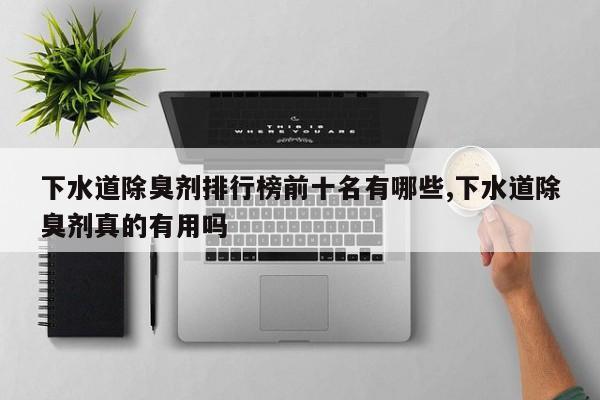 下水道除臭剂排行榜前十名有哪些,下水道除臭剂真的有用吗
