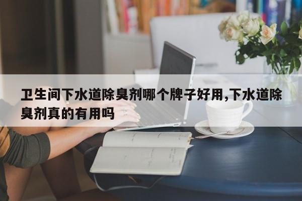卫生间下水道除臭剂哪个牌子好用,下水道除臭剂真的有用吗