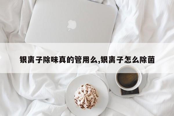 银离子除味真的管用么,银离子怎么除菌