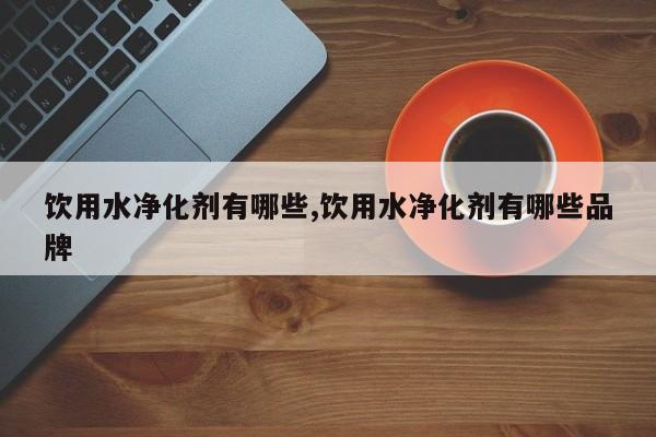饮用水净化剂有哪些,饮用水净化剂有哪些品牌
